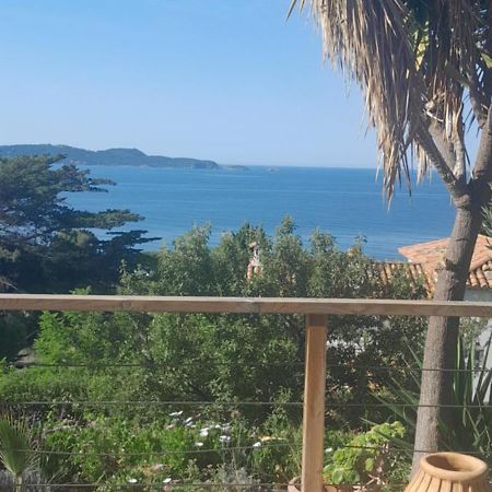 F3 Rdc Villa Vue Mer 180 Face A La Pointe De Giens Каркеран Экстерьер фото